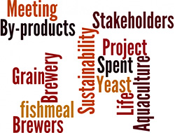 The Life Brewery sprint - looking for innovators to improve the aquaculture sustainability through brewers’ spent grain & yeast - Click to zoom